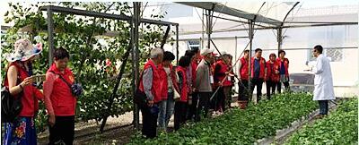 蔬菜種子，幾百萬(wàn)種植戶(hù)的選擇