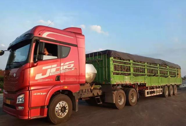 種南瓜竟然種出“麻煩”了，瓜販搶購，電視臺(tái)記者也趕來了