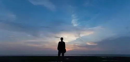 雇工難、成本高，想種甜瓜怎么辦？