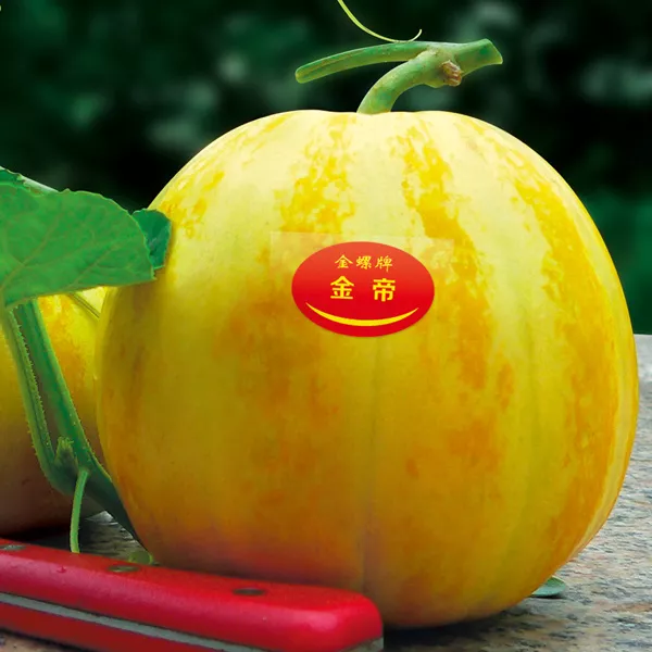 薄皮甜瓜，哪個(gè)品種最好呢？畝產(chǎn)高達(dá)10萬(wàn)，附4種市場(chǎng)爆款品種