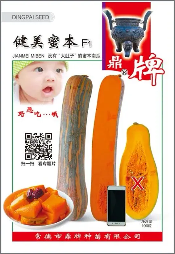 3元1斤的健美蜜本南瓜快成熟了，緬甸種植戶發(fā)來(lái)圖片與視頻