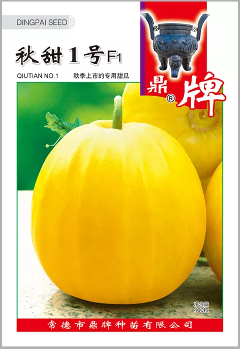 高溫季節(jié)種植甜瓜，什么品種最好？這個(gè)品種是秋季上市的專用品種
