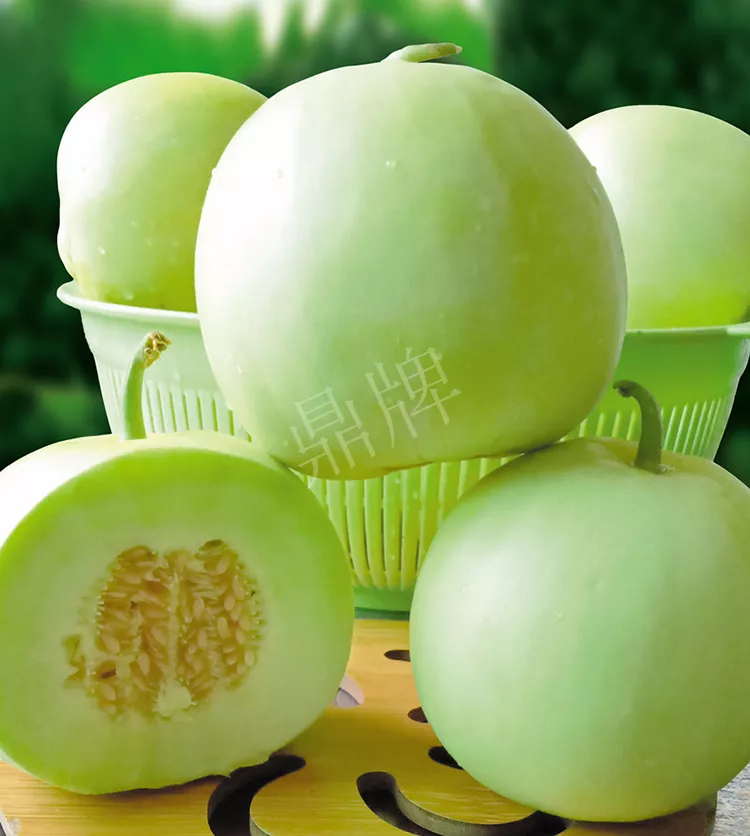 7元一斤還遭瘋搶，畝收益超2萬元！到底什么甜瓜能這么牛？