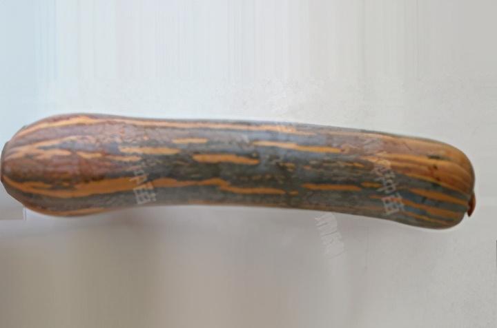 2020年，市面上的南瓜品種哪個口感最好、最甜、最值得種植？