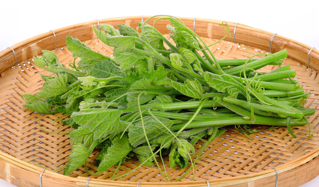 種這種綠葉菜，栽培輕松，畝產(chǎn)值過(guò)萬(wàn)元，菜農(nóng)表示很劃算