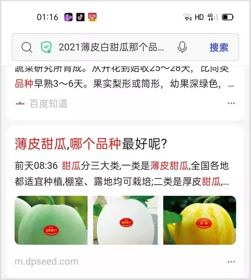 河南焦作的李向林今年種植甜瓜新品種，客戶直接拉貨走人