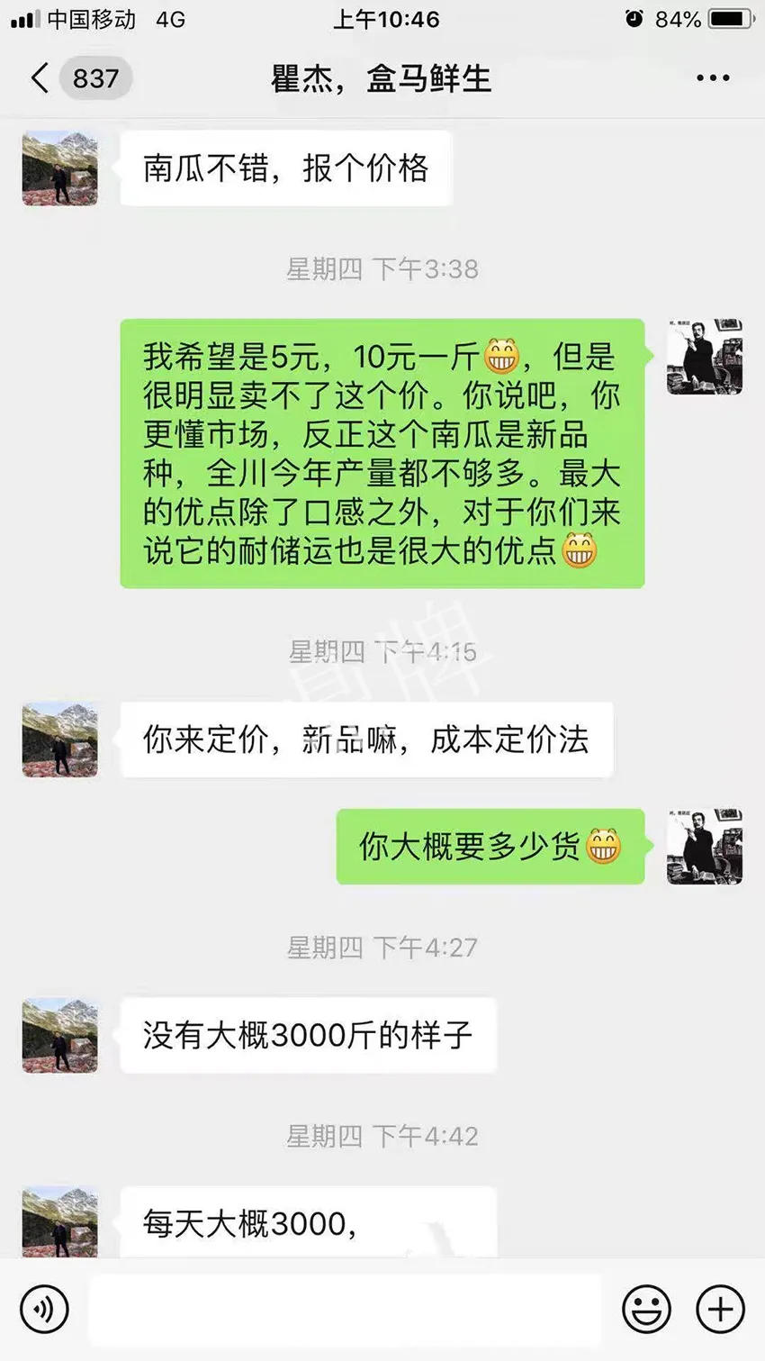 四川農(nóng)戶今年種“健美蜜本”南瓜產(chǎn)量高，品質(zhì)好，感覺巴適得很